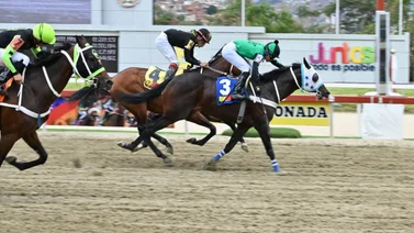 Ojo avizor con este caballo que en su última corrió negado y retorna al óvalo de la Rinconada luego de 83 días