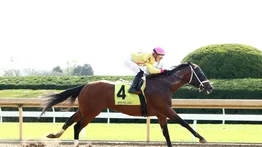 Tyler Gaffalione con cinco victorias en seis montas y dos Stakes en dos días