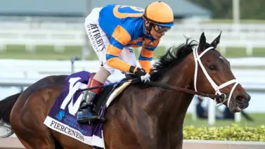 El multimillonario Fierceness en pos de su participación para la Classic en Del Mar El multimillonario Fierceness en pos de su participación para la Classic en Del Mar