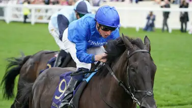 ¡Oficial! Rebel's Romance apunta este fin de semana con miras a la Breeders’ Cup Turf ¡Oficial! Rebel's Romance apunta este fin de semana con miras a la Breeders’ Cup Turf