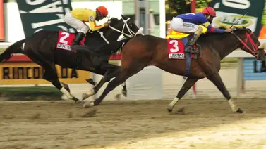 Sangre ganadora: Medio hermano del ganador del Clásico Internacional Simón Bolívar hace su debut en la R28 Sangre ganadora: Medio hermano del ganador del Clásico Internacional Simón Bolívar hace su debut en la R28