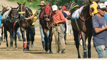 La Rinconada se prepara: Nieto materno de Water Poet debutará en el 5y6 de la R28 La Rinconada se prepara: Nieto materno de Water Poet debutará en el 5y6 de la R28