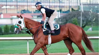Desalojada cuadra D. Wayne Lukas semanas después de su desaparición 