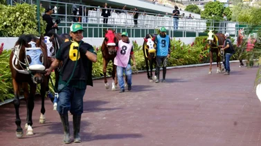 Atención: Retiro clave en la primera del Loto Hípico de este sábado en La Rinconada