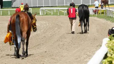 Última hora: Se presenta otro retiro en la sexta carrera de la R28 del sábado en La Rinconada Última hora: Se presenta otro retiro en la sexta carrera de la R28 del sábado en La Rinconada