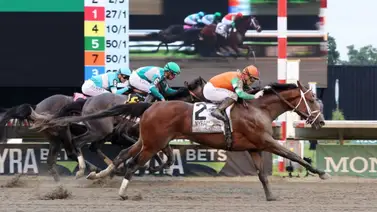 Journalism entra en este grupo de ganadores de alta gama en Estados Unidos Journalism entra en este grupo de ganadores de alta gama en Estados Unidos