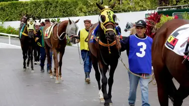 Los "Imperdibles" de La Rinconada: La data exclusiva para tus jugadas del sábado Los "Imperdibles" de La Rinconada: La data exclusiva para tus jugadas del sábado