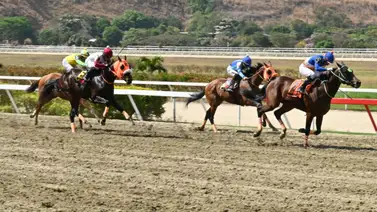 ¡Atención 5y6! El "Dato de los Vivitos" se presenta en la tercera válida sabatina de La Rinconada ¡Atención 5y6! El "Dato de los Vivitos" se presenta en la tercera válida sabatina de La Rinconada