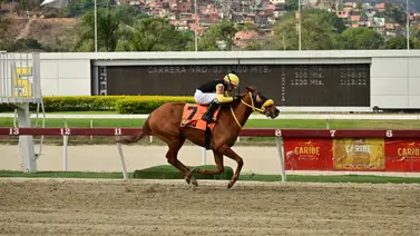 Esto es lo que debes saber de la yegua Linda Bizkaia una de las fijas de las no válidas del sábado Esto es lo que debes saber de la yegua Linda Bizkaia una de las fijas de las no válidas del sábado