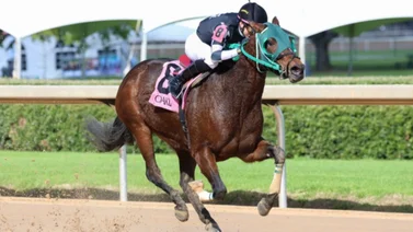 Irad y José Luis Ortiz continuan con el dominio en el meeting de Saratoga