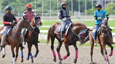 Los ejercicios previos de esta yegua la hacen considerar una línea en el 5y6 nacional de La Rinconada Los ejercicios previos de esta yegua la hacen considerar una línea en el 5y6 nacional de La Rinconada