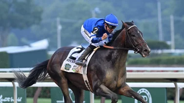 Aparte de Soreverignty, estas son los Graded Stakes donde montará Junior Alvarado
