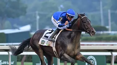 Aparte de Soreverignty, estas son los Graded Stakes donde montará Junior Alvarado Aparte de Soreverignty, estas son los Graded Stakes donde montará Junior Alvarado