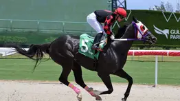 Estas son las mejores montas del viernes de Emisael Jaramillo en Gulfstream Park