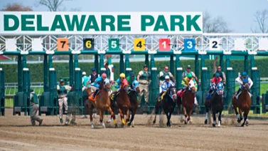 Atención: Delaware Park cancela su programación de este viernes por esta razón