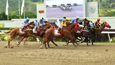 No es un rumor: Conoce a esta hora el dato más corrido que participa en el Clásico República Bolivariana de Venezuela (G1) No es un rumor: Conoce a esta hora el dato más corrido que participa en el Clásico República Bolivariana de Venezuela (G1)