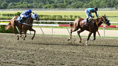 Ojo al dato: Entérate de esta yegua que se perfila como el "robo de toda Venezuela" para el 5y6 dominical  Ojo al dato: Entérate de esta yegua que se perfila como el "robo de toda Venezuela" para el 5y6 dominical