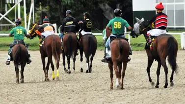 Último minuto: Yegua con mucho chance en la carrera de los acumulados del 5y6 queda retirada Último minuto: Yegua con mucho chance en la carrera de los acumulados del 5y6 queda retirada