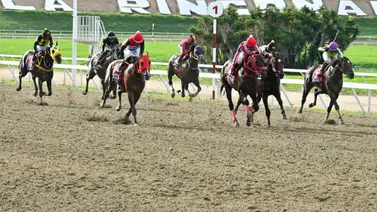 La clave que debes saber: Aquí te damos la información más "regada" para la primera válida  La clave que debes saber: Aquí te damos la información más "regada" para la primera válida