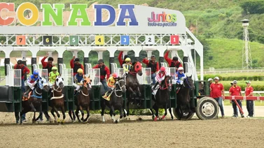 Datos de Última Hora para el Hipódromo La Rinconada 26-7-2025