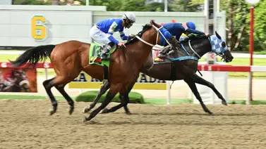 Descubre este ejemplar que se perfila como el “dato caliente” que de ganar podría abonar un buen dividendo para el 5y6 de la R28 Descubre este ejemplar que se perfila como el “dato caliente” que de ganar podría abonar un buen dividendo para el 5y6 de la R28