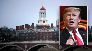 Harvard cierra oficinas de diversidad tras presiones del Gobierno de Trump Harvard cierra oficinas de diversidad tras presiones del Gobierno de Trump