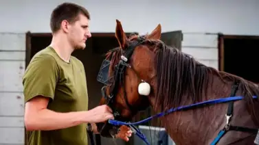 NBA: Nikola Jokic se quiebra en llanto y no es por baloncesto (+Video) NBA: Nikola Jokic se quiebra en llanto y no es por baloncesto (+Video)