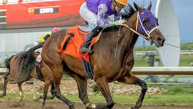 El entrenador criollo Gonzalo Anderson pasó a dominar el mitin en este hipódromo en Canadá El entrenador criollo Gonzalo Anderson pasó a dominar el mitin en este hipódromo en Canadá