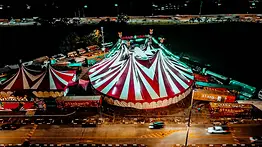 Circo de México: Inmersión Sensorial en la Cultura Mexicana