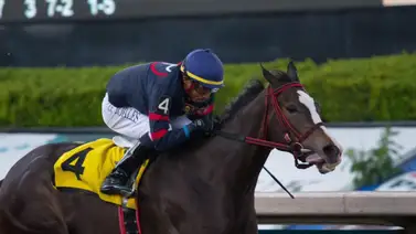 Sabalenka consiguió la triple corona en México en brillante demostración  Sabalenka consiguió la triple corona en México en brillante demostración