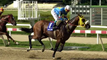 El V Clásico My Own Business: Un duelo de velocidad con siete protagonistas en La Rinconada El V Clásico My Own Business: Un duelo de velocidad con siete protagonistas en La Rinconada