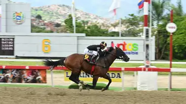 Clásico Guardia Nacional Bolivariana (G2): ¡Special Element en busca de su cuarta victoria al hilo y su primera selectiva en la R29 Clásico Guardia Nacional Bolivariana (G2): ¡Special Element en busca de su cuarta victoria al hilo y su primera selectiva en la R29