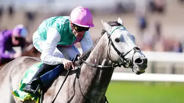 Field of Gold buscará hacer historia este miércoles en Goodwood rumbo a la Breeders' Cup  Field of Gold buscará hacer historia este miércoles en Goodwood rumbo a la Breeders' Cup