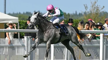 Este miércoles se correrá una clasificatoria de la Breeders’ Cup Juvenile en Inglaterra