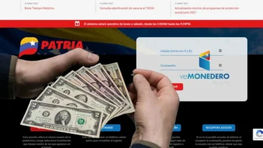 Monedero del Sistema Patria: Bonos activos hoy, 29 de julio (+Montos)