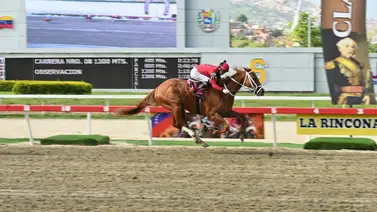 Importado Toro Salvaje estrena nuevo entrenador el domingo en La Rinconada Importado Toro Salvaje estrena nuevo entrenador el domingo en La Rinconada