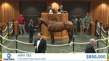 La semana que viene llegan los hijos de Flightline y Life Is Good a Nueva York La semana que viene llegan los hijos de Flightline y Life Is Good a Nueva York