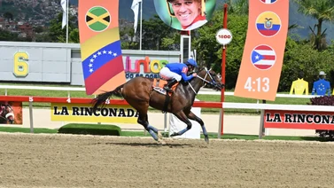 Luego de 147 días regresa a la pista campeona dosañera del 2024 en La Rinconada