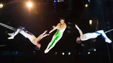 El Circo como terapia: Cómo el arte circense ayuda a superar barreras emocionales y físicas