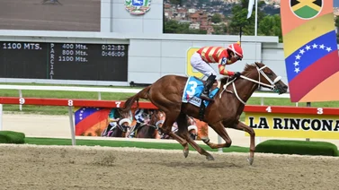 Producto de Mr Defence que está invicta reaparece luego de 147 días con nuevo entrenador