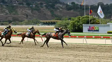 Yegua que siempre es vista favorita y que sorprendió en su última reaparece tras 112 días Yegua que siempre es vista favorita y que sorprendió en su última reaparece tras 112 días