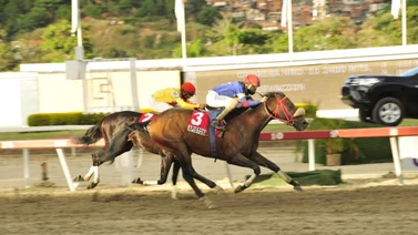 Debuta hijo de un semental que tiene un ganador del Clásico Simón Bolívar G1