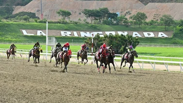 Yegua ganadora y productora de más de $100.000 debuta en La Rinconada