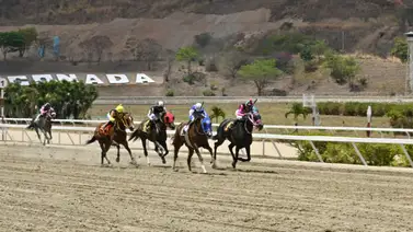 Nieta de un figurador de la Dubai World Cup corre este domingo en La Rinconada Nieta de un figurador de la Dubai World Cup corre este domingo en La Rinconada