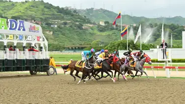 Pedigrí de lujo: Debuta primer producto de campeona Sprinter en La Rinconada Pedigrí de lujo: Debuta primer producto de campeona Sprinter en La Rinconada