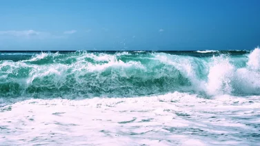 Primeras imágenes de las olas del tsunami generado por el terremoto en Rusia (+Video)