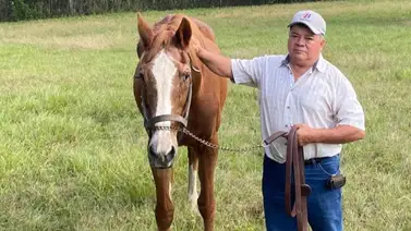 Muere último hijo del campeón triplecoronado Secretariat + Detalles Muere último hijo del campeón triplecoronado Secretariat + Detalles