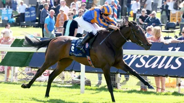 Potra de Aidan O’brien buscará este jueves su cupo para la Breeders’ Cup Filly Mare Turf
