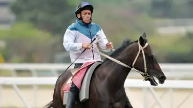 José Gilberto Hernández tiene dos buenas sorpresas en el 5y6 nacional que no se pueden olvidar (+Entrevista)  José Gilberto Hernández tiene dos buenas sorpresas en el 5y6 nacional que no se pueden olvidar (+Entrevista)