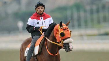Kelvin Perfecto espera estar en el tope del marcador con estos ejemplares en la R29 (+Video) 